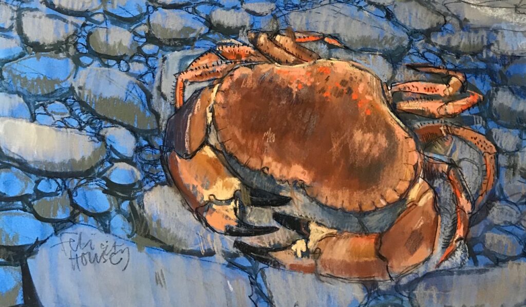 Kimmeridge Crab